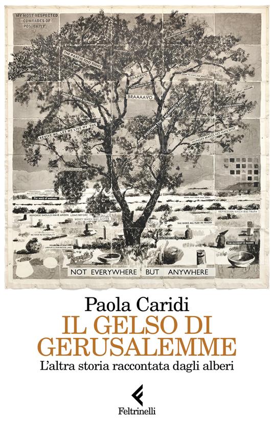 3.-Il-gelso-di-Gerusalemme-της-Paola-Caridi.jpg